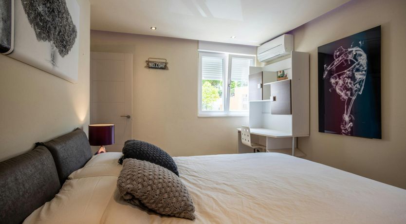 Photo of Siesta Nights