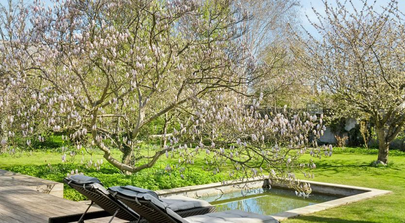 Photo of The Classic Muse