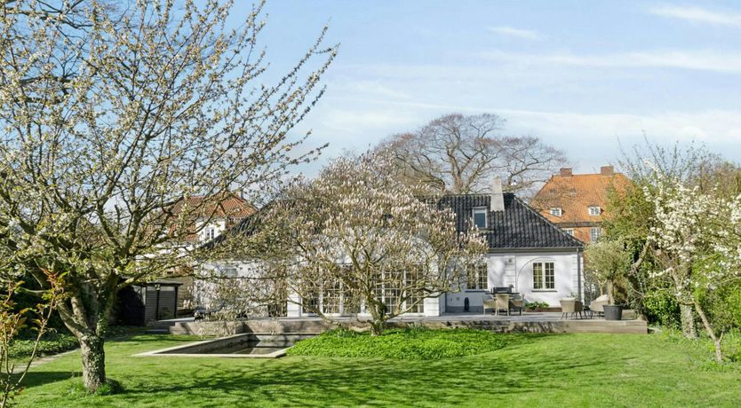 Photo of The Classic Muse