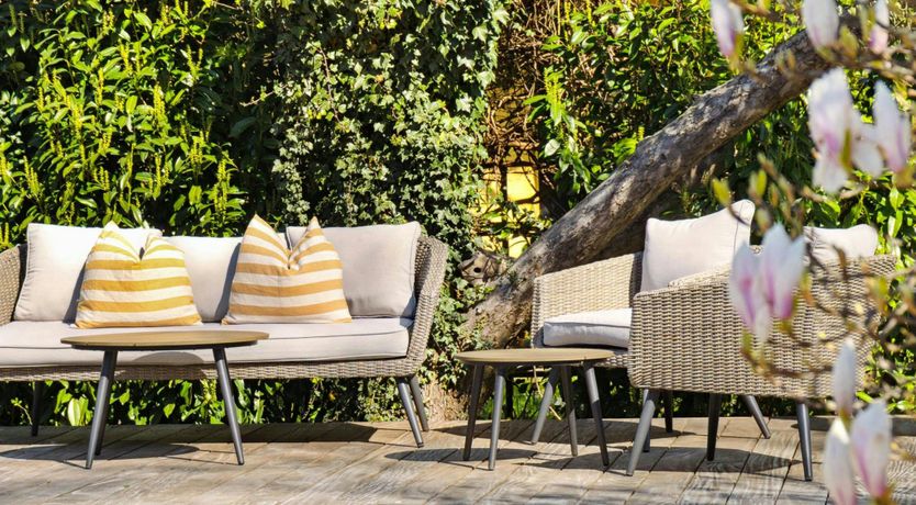 Photo of The Classic Muse