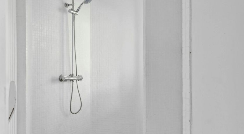 Photo of The Classic Muse