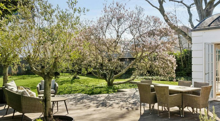 Photo of The Classic Muse