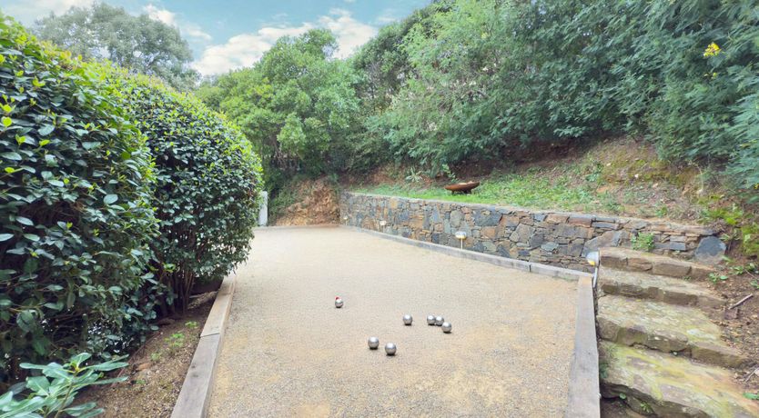 Photo of Riviera Stone Pine