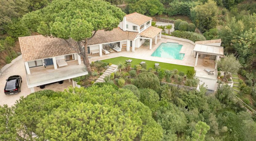 Photo of Riviera Stone Pine