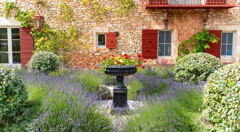 Photo of The Soul of Provence