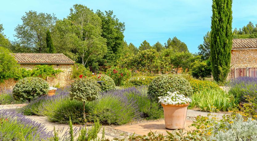 Photo of The Soul of Provence