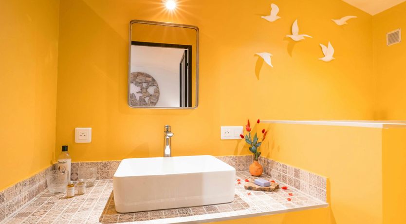 Photo of The Soul of Provence