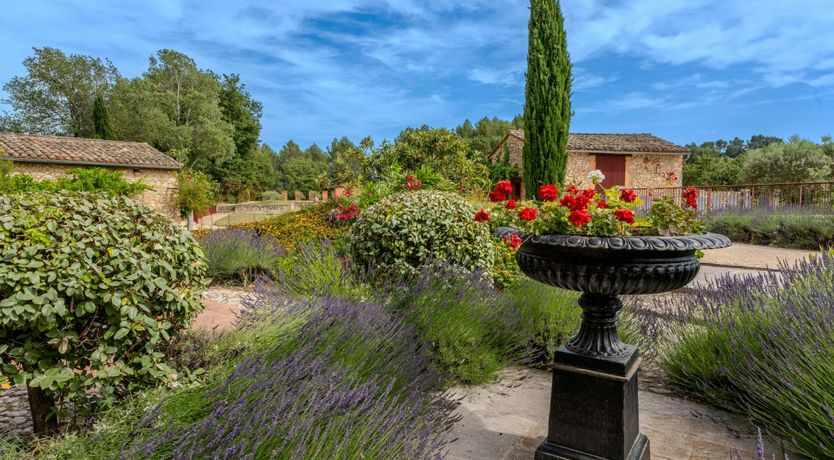 Photo of The Soul of Provence