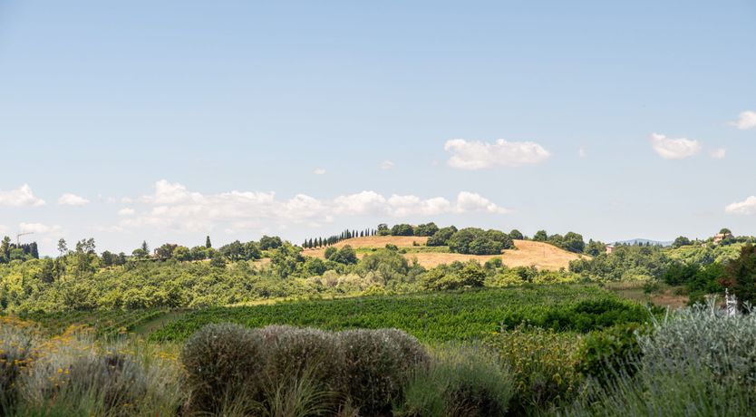 Photo of Olive Ridge