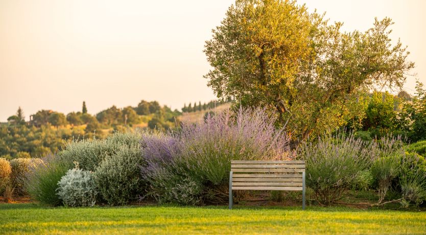 Photo of Olive Ridge