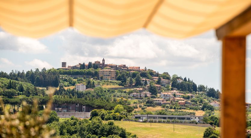 Photo of Olive Ridge