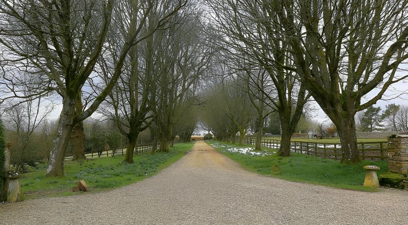 Photo of The Secret Wing