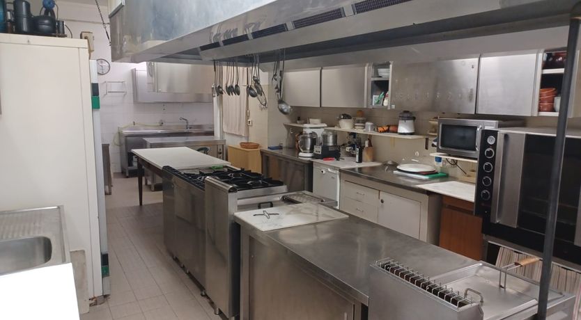 Photo of Vine & Sunlight