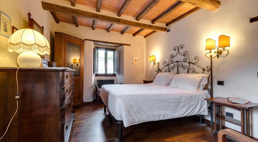 Photo of Vine & Sunlight