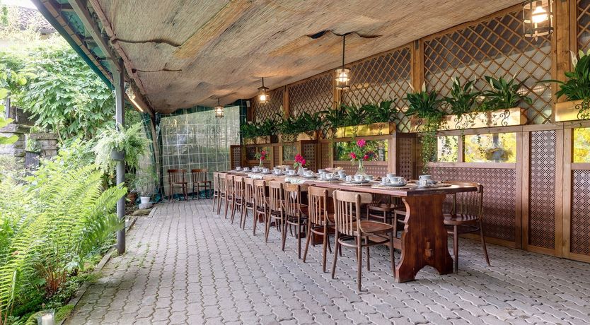 Photo of Vine & Sunlight