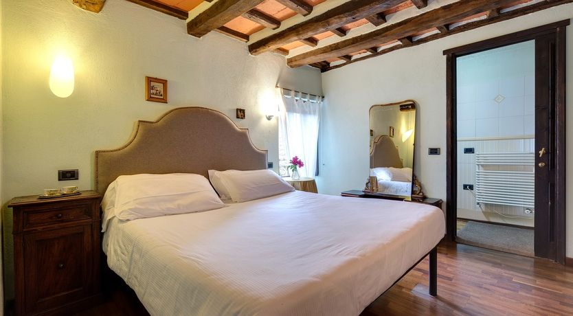 Photo of Vine & Sunlight