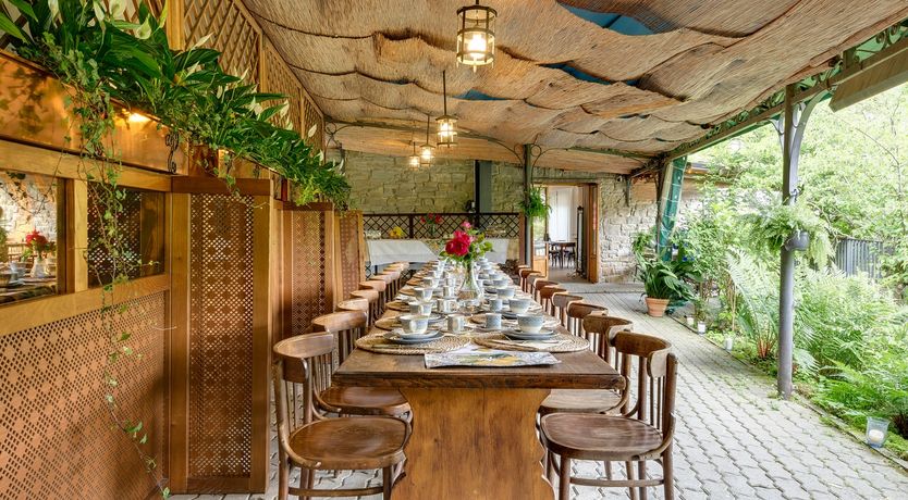 Photo of Vine & Sunlight