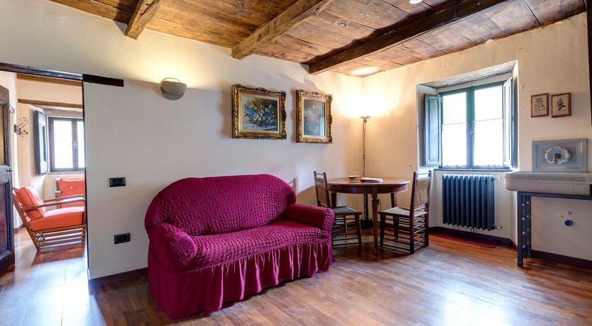 Photo of Vine & Sunlight