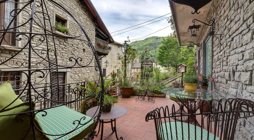 Photo of Vine & Sunlight