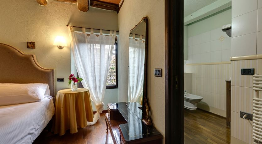 Photo of Vine & Sunlight