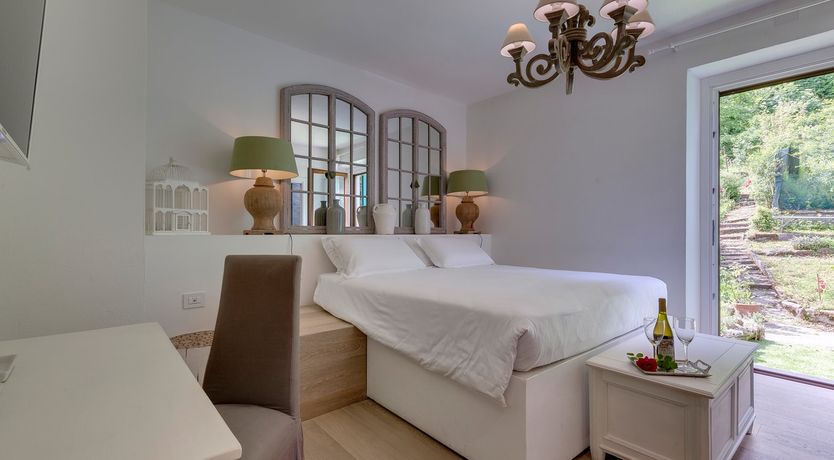 Photo of Vine & Sunlight