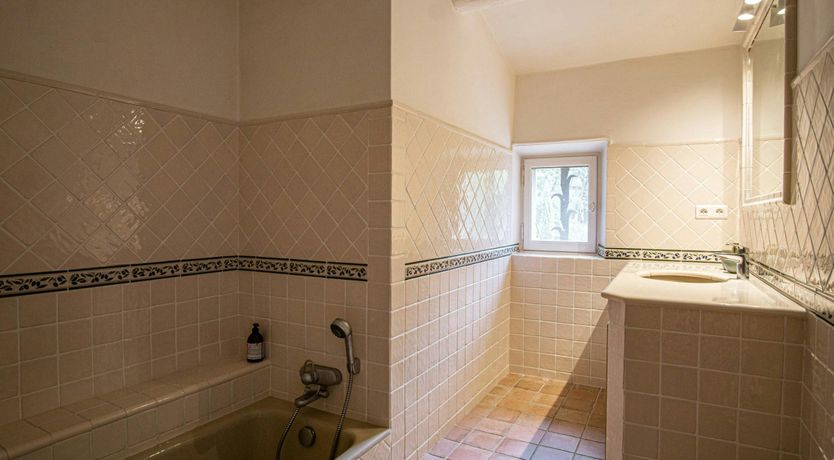 Photo of Provençal Summer