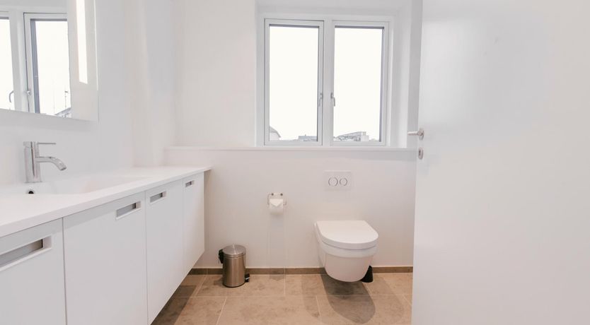 Photo of Copenhagen Dream