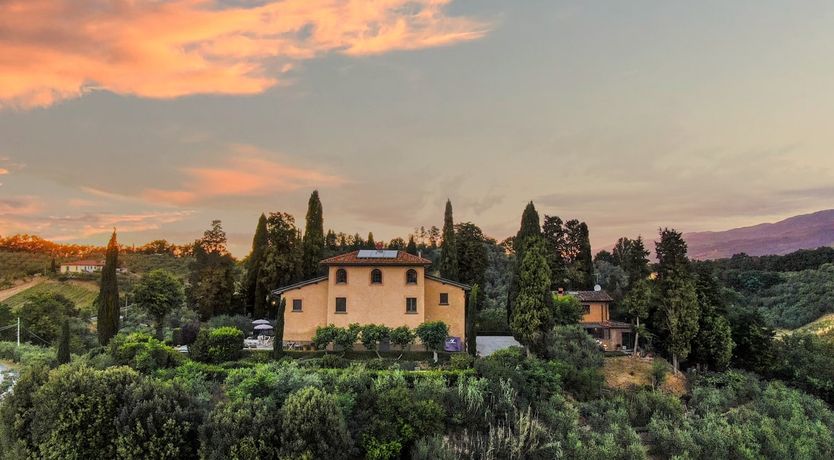 Photo of Live in Wonder