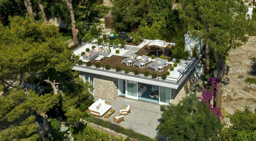 Photo of Sunny Wonder