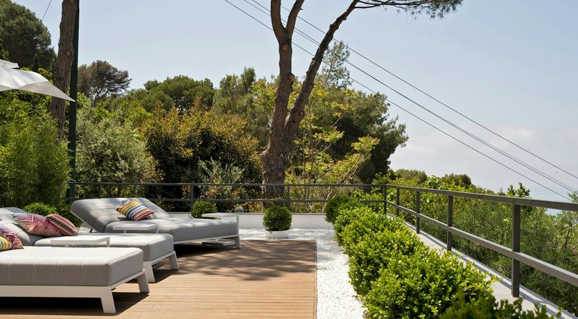 Photo of Sunny Wonder