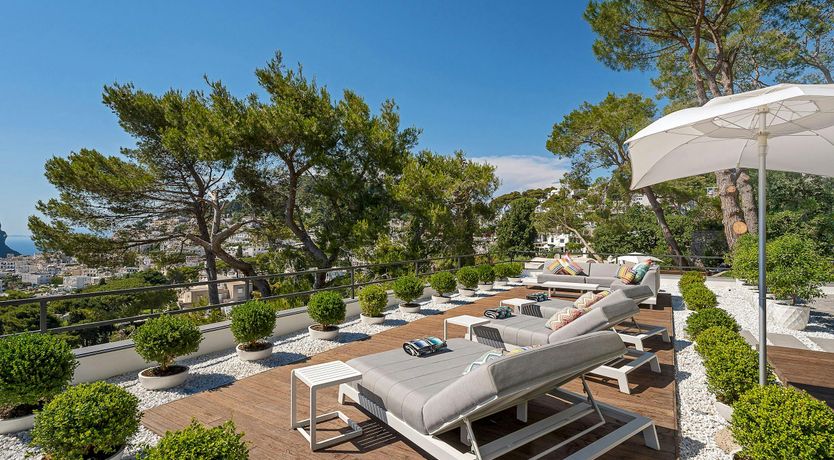 Photo of Sunny Wonder