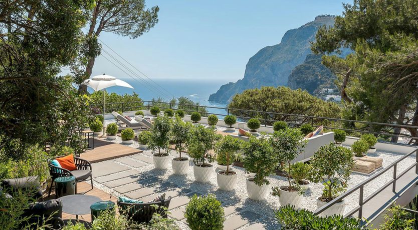 Photo of Sunny Wonder