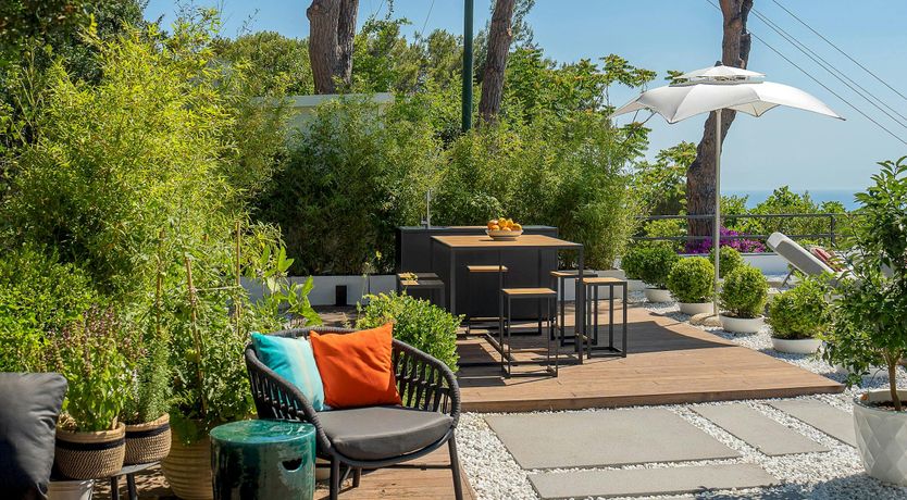 Photo of Sunny Wonder