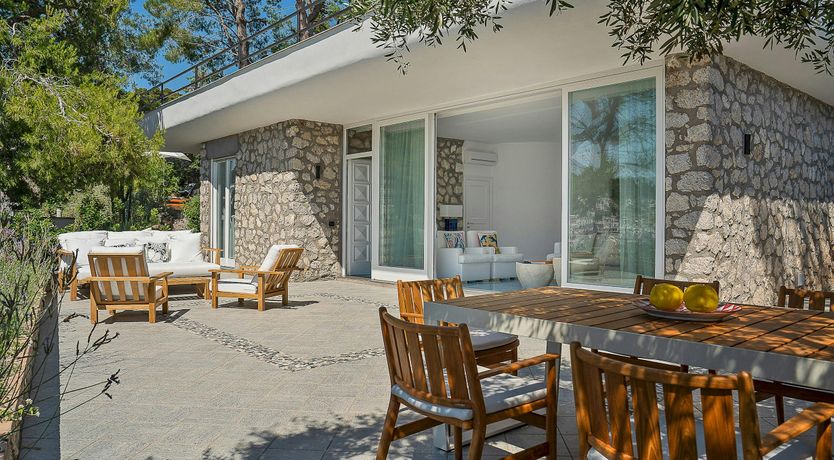 Photo of Sunny Wonder