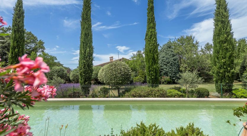 Photo of Lovely Lavender