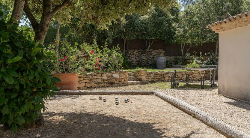 Photo of Lovely Lavender