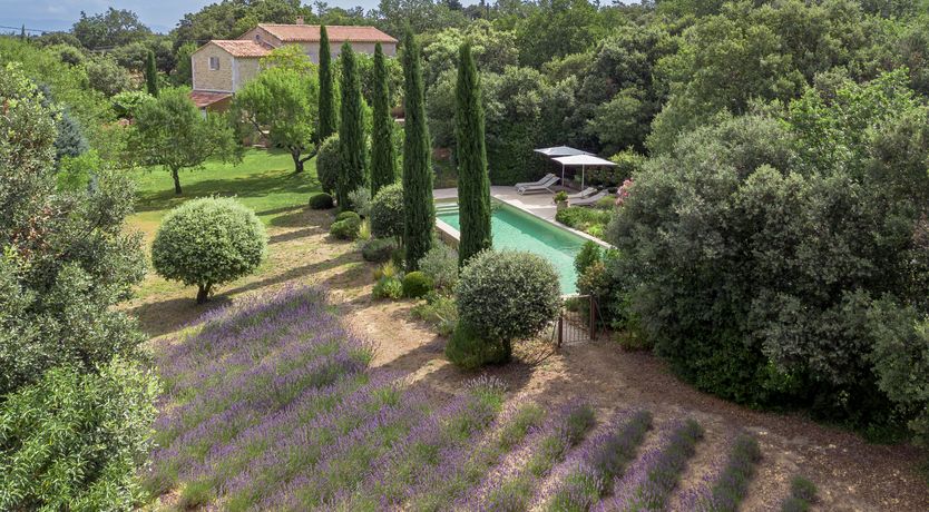 Photo of Lovely Lavender