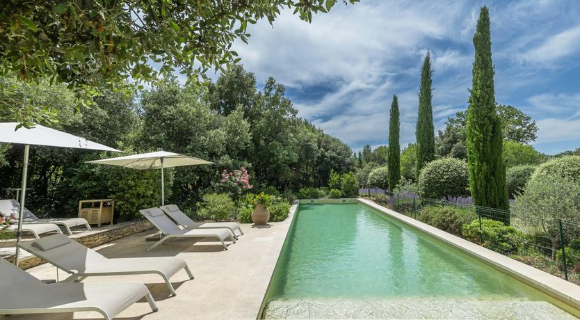 Photo of Lovely Lavender