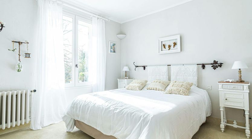 Photo of Under The Linden Tree