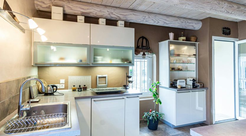 Photo of Under The Linden Tree