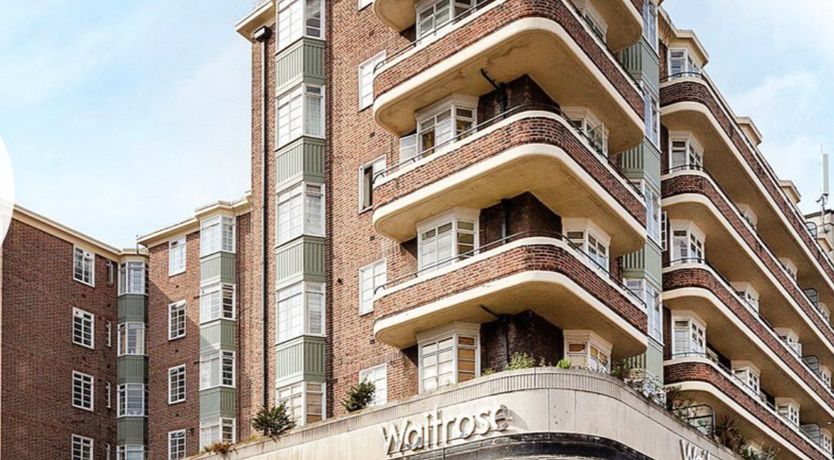Photo of Sunflower Fields
