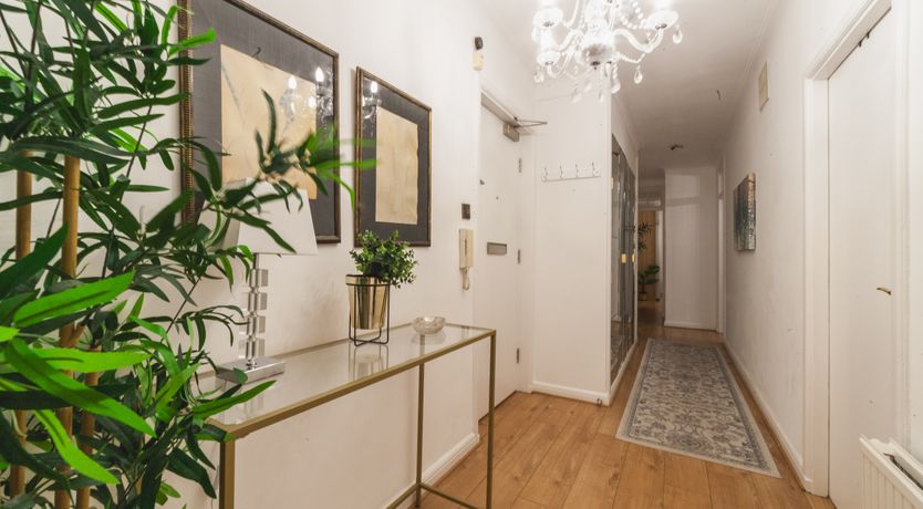 Photo of Sunflower Fields