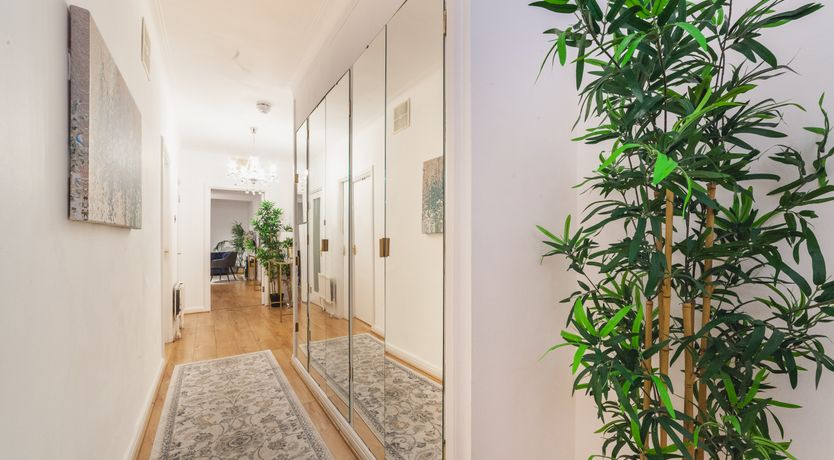 Photo of Sunflower Fields