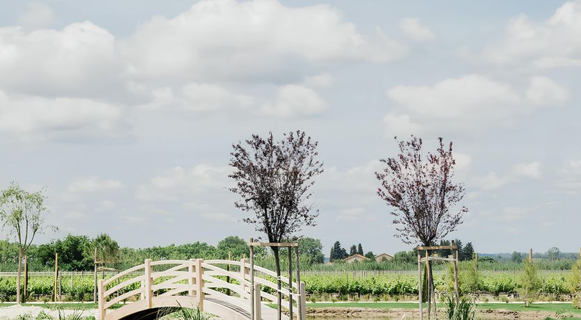 Photo of The Vineyard Retreat