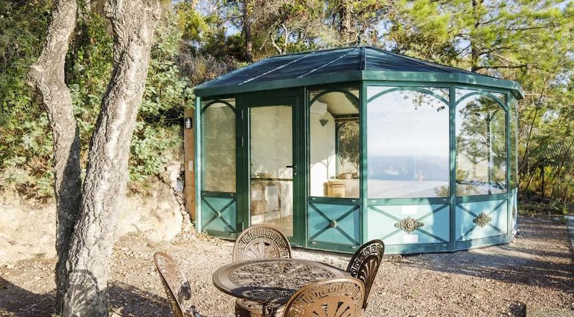 Photo of Eucalyptus Air