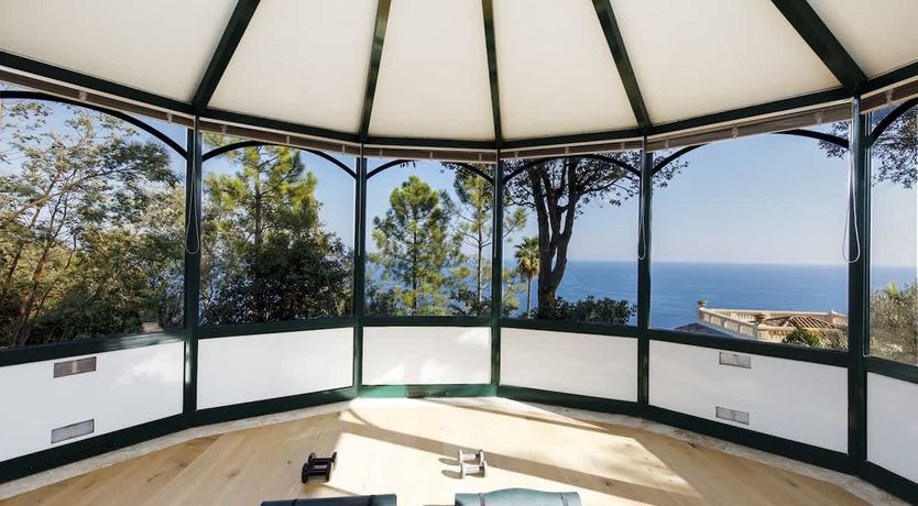 Photo of Eucalyptus Air