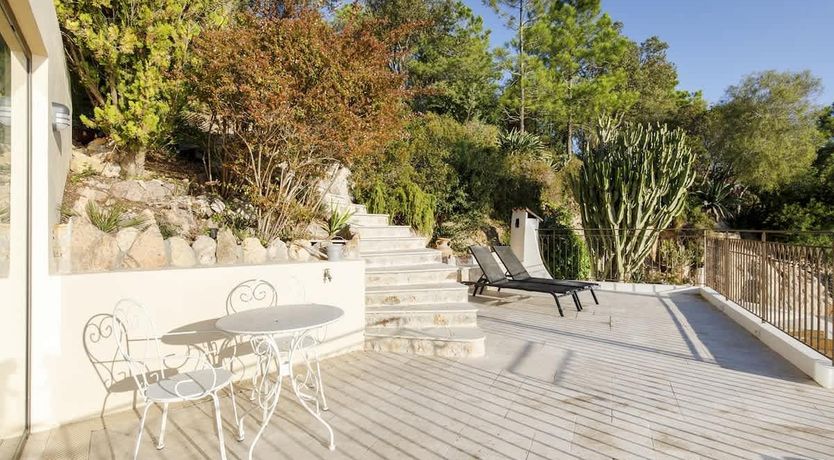 Photo of Eucalyptus Air