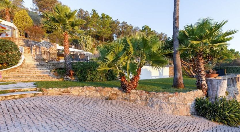 Photo of Eucalyptus Air