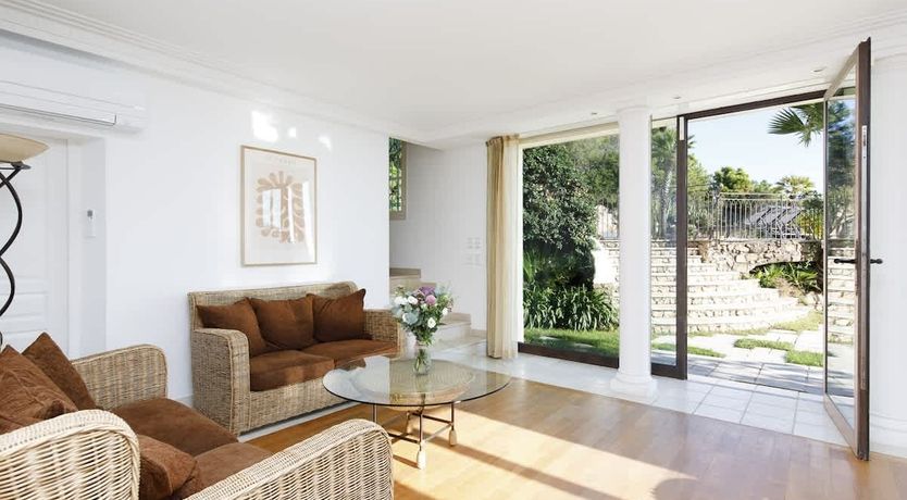 Photo of Eucalyptus Air