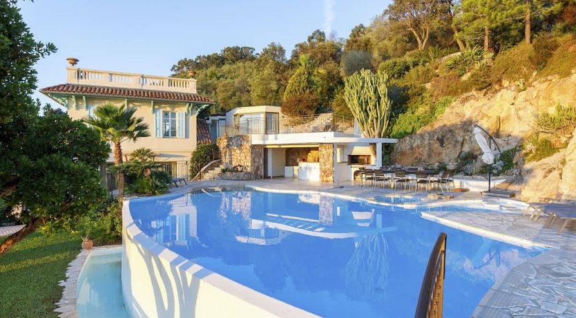 Photo of Eucalyptus Air